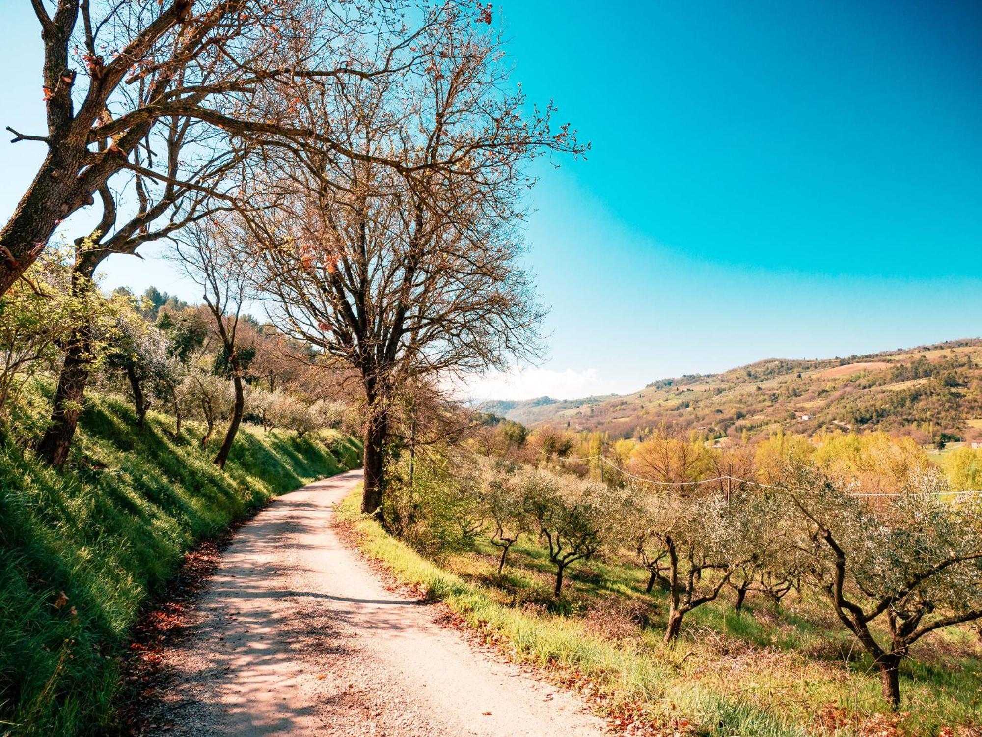 Ostello Bello Assisi ベヴァーニャ エクステリア 写真